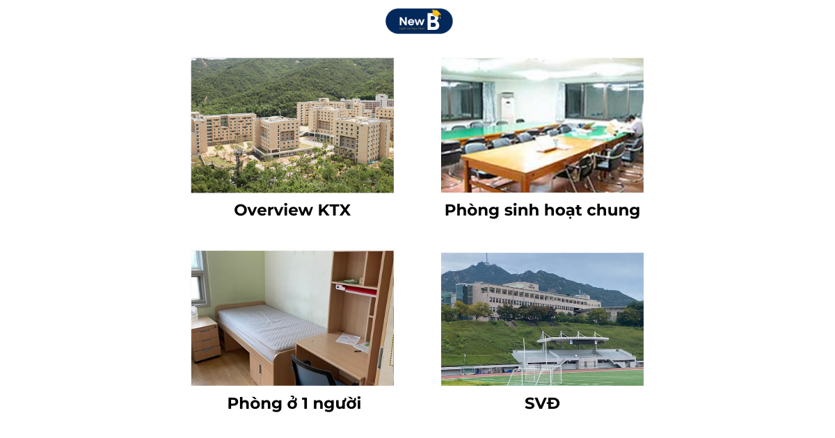 Cơ sở vật chất của trường đại học quốc gia Seoul